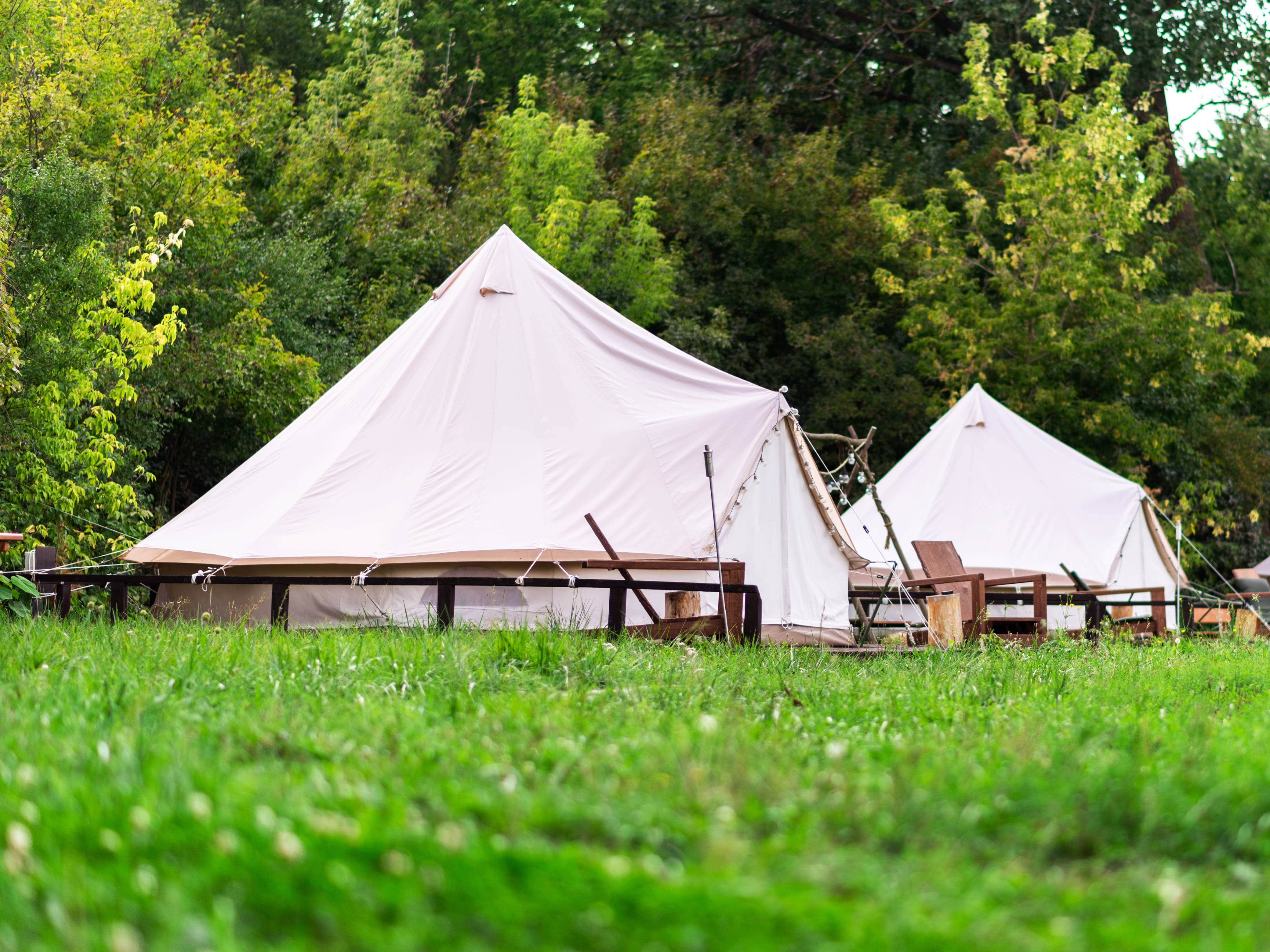 Safari Tent